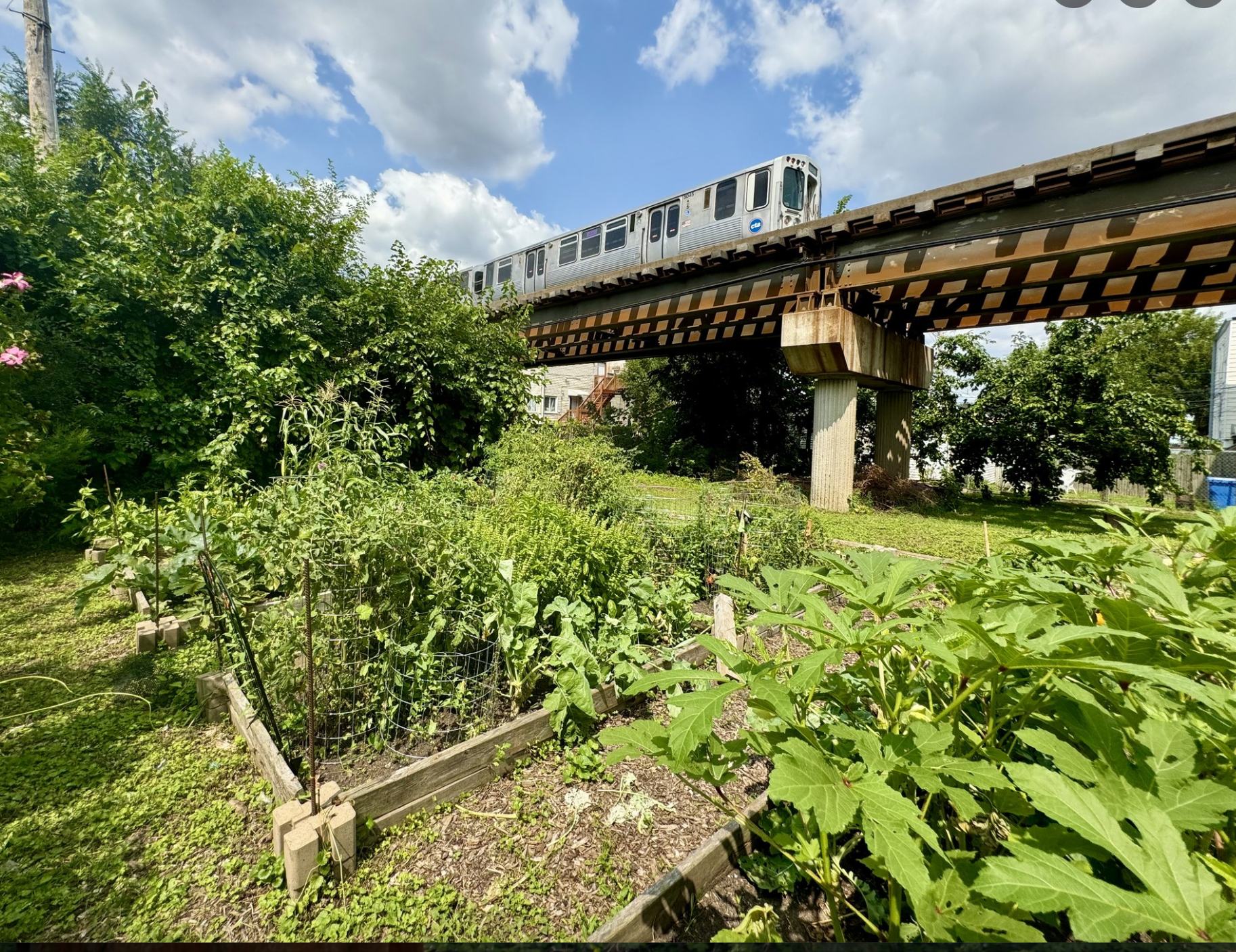 Greenhouse, more community gardens coming to North Lawndale 